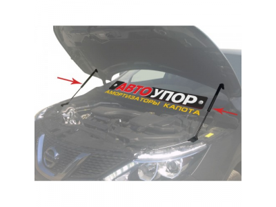 Амортизаторы капота Автоупор, Nissan Qashqai, 2014-...