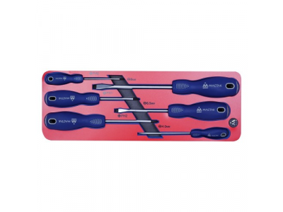 Набор отвёрток, ложемент, 6 предметов, МАСТАК