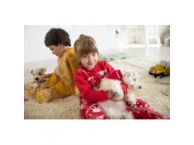 Детский желтый комплект: штаны и толстовка Toyota, артикул TMDR4B0104