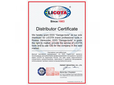 Паяльник-пистолет 100 Вт, в наборе 3 пр. от LICOTA Паяльник-пистолет 100 Вт, в наборе 3 пр.